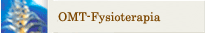 Fysioterapia